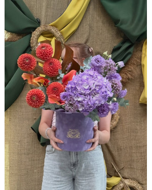 Dahlias in a Box Motria