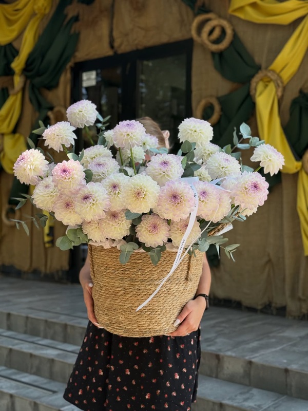 Жоржини в корзині Ліга
