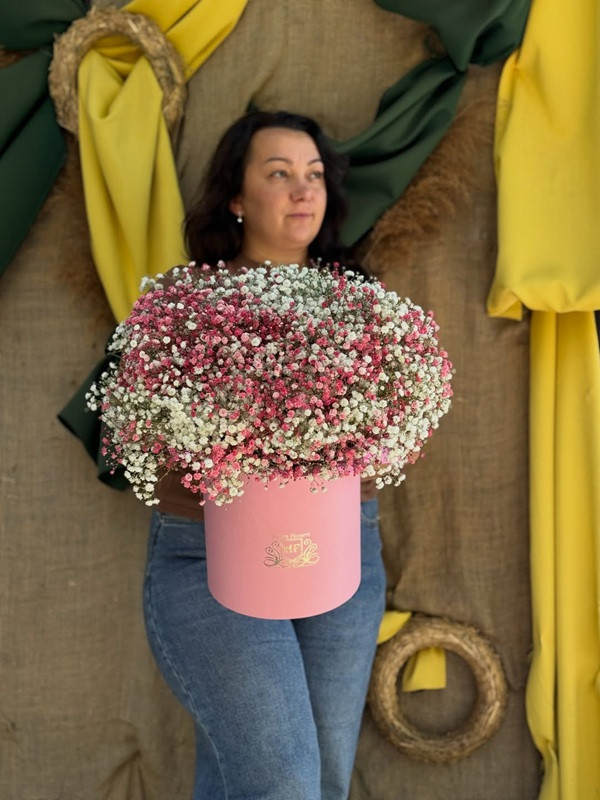 Гіпсофіла в коробці Адель