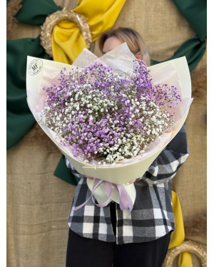 Gypsophila bouquet Apartment