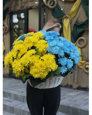 Chrysanthemums in Basket