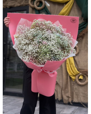 Gypsophila Rotary hammer