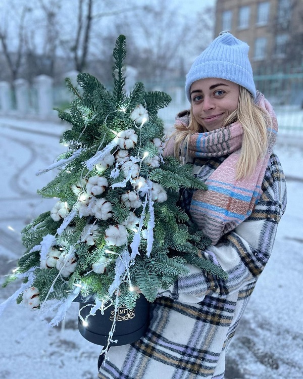 Ялинки новорічні