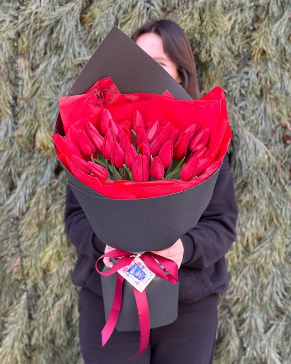 Red Tulips