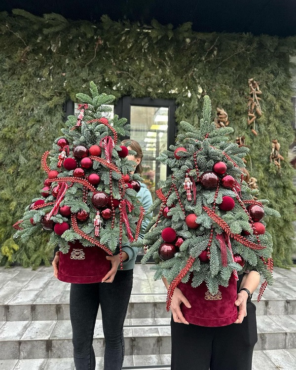 Christmas Tree 2023