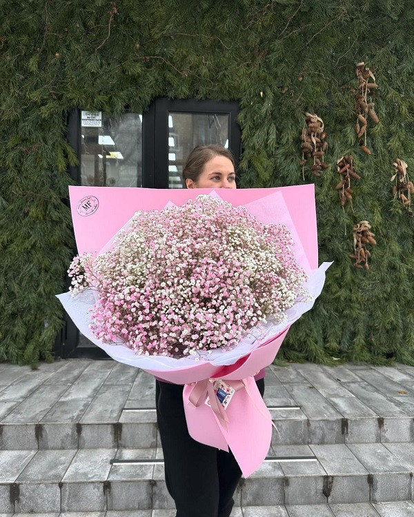 Pink Gypsophila