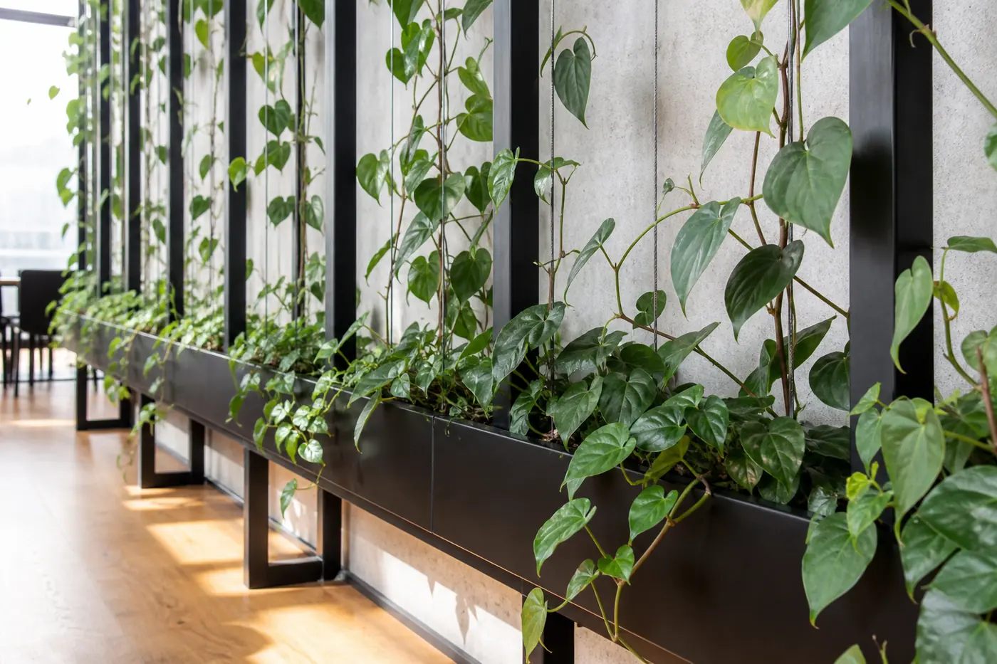 Вертикальная конструкция с растениями